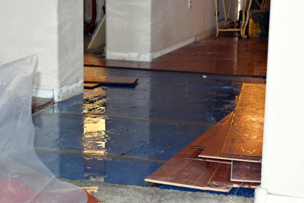 Professional Sewage Cleanup technician working in Stratton, OH